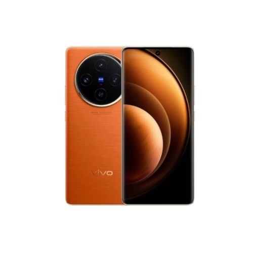 vivo X100